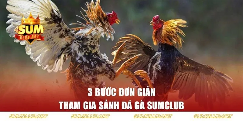 3 bước đơn giản tham gia sảnh đá gà SUMCLUB