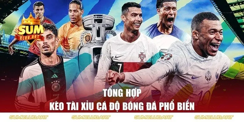 Những hình thức cá độ bóng đá tại cổng game quốc tế