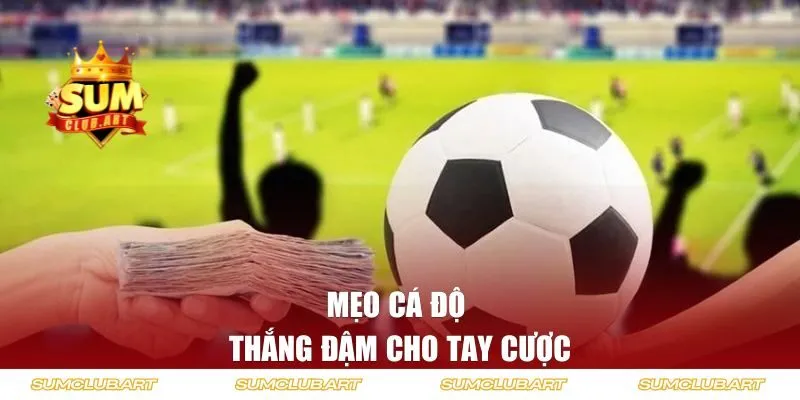 Mẹo cá độ thắng đậm cho tay cược