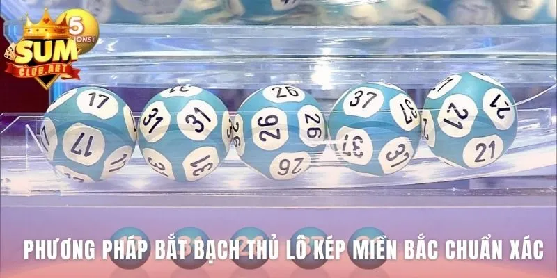 Phân tích dấu hiệu từ bảng kết quả tìm Bạch Thủ Lô Kép